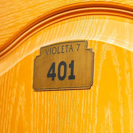 Violeta 7 בית הארחה נסבר