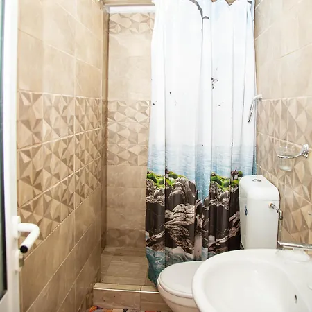 בית הארחה Violeta 7 נסבר