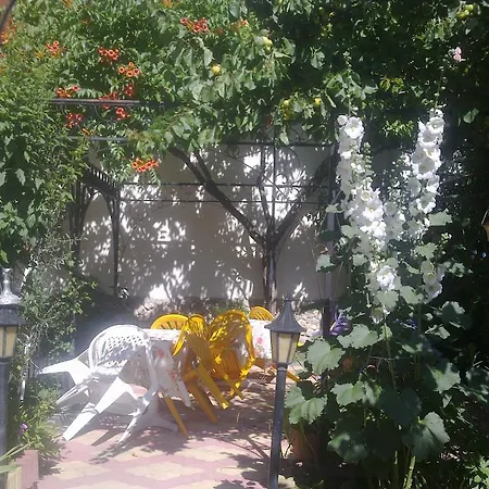 Πανσιόν Violeta 7 Νεσέμπαρ