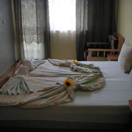 Violeta 7 Νεσέμπαρ