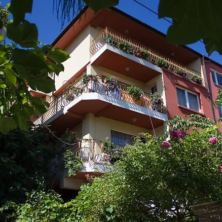 Violeta 7 בית הארחה 4*