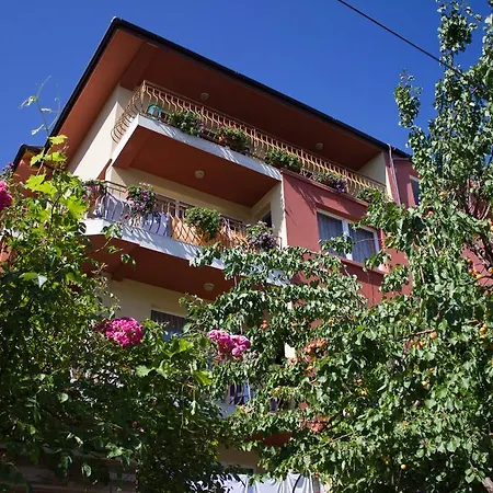 Violeta 7 Πανσιόν Νεσέμπαρ