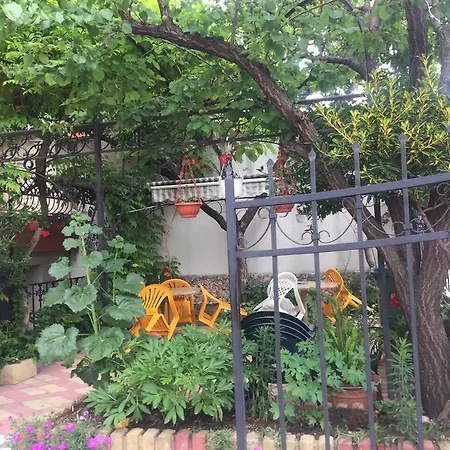 בית הארחה Violeta 7 4*