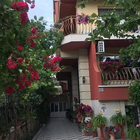 Violeta 7 3* Νεσέμπαρ