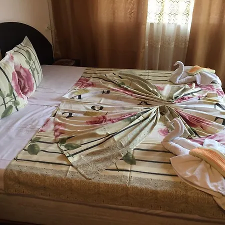 Violeta 7 בית הארחה נסבר