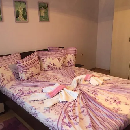 Violeta 7 Νεσέμπαρ