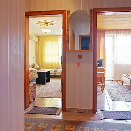 Violeta 7 Pensión 4*