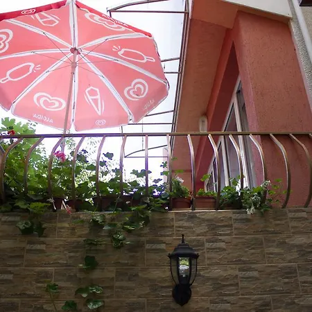 Violeta 7 Pensión 4*