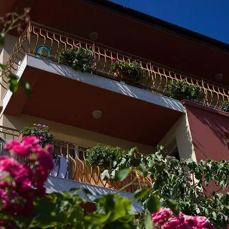 Gasthof Violeta 7