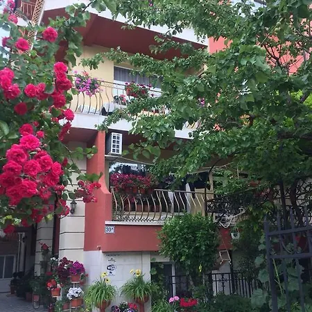 Gasthof Violeta 7