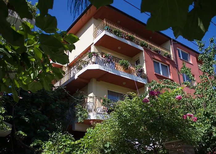 Violeta 7 Gæstehus 4*